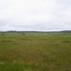 Staroselskiy Mokh swamp