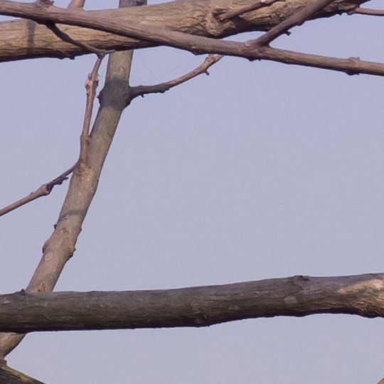 Area naturale protetta di Sakteng