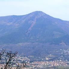 Monte Curt