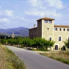 Castillo de San Gregorio Casa de los Margarit)''