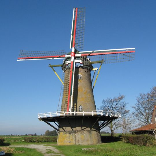 De Korenbloem