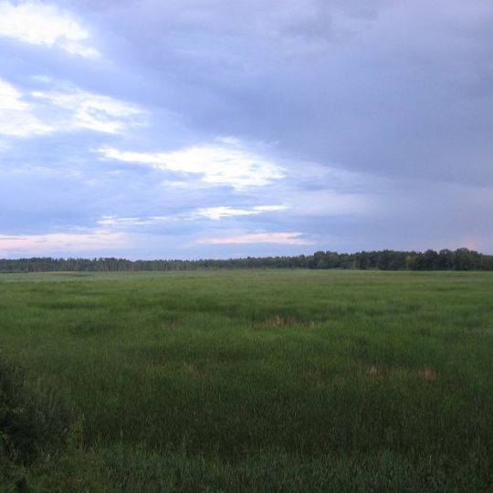 Rezerwat przyrody Piskory