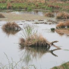 Naturschutzgebiet Graf-Dietrichs-Weiher bei Fischborn