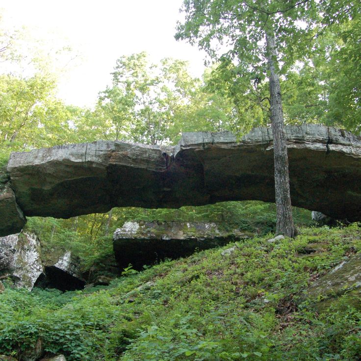 Natural Bridge of Arkansas
