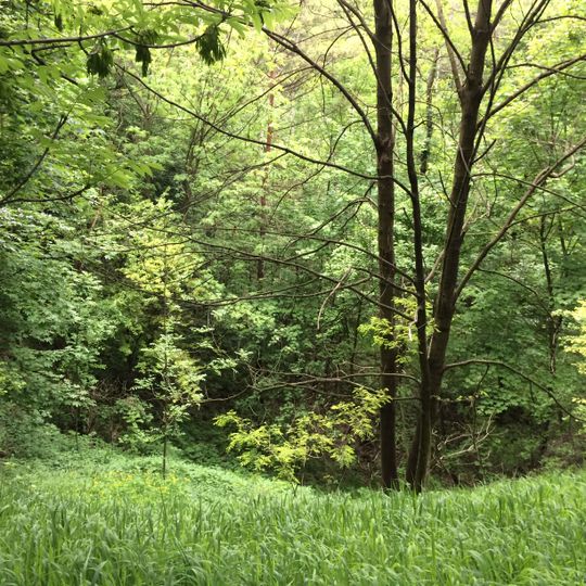 Zespół przyrodniczo-krajobrazowy "Doły Piekarskie"