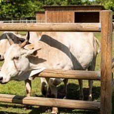 Ferme de Découverte de Mérignac