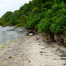 Goor-Muglitz: Muglitzer Boddenufer