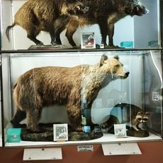 Natural History Museum of Alburni