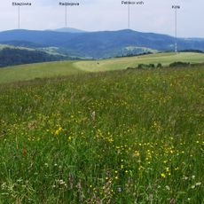 Pripor (Góry Lubowelskie)