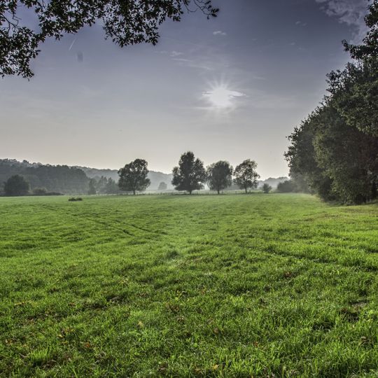 Feuchtwiesen Bucholter Bruch und Nordhang Testerberge