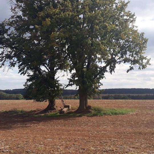 Kříž nad Bdeněvsí v poli