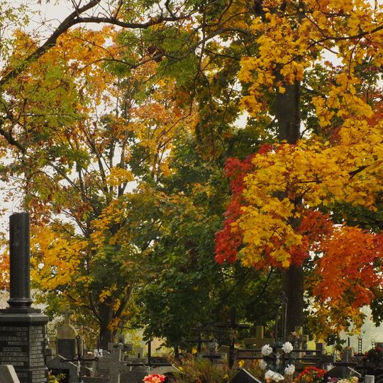 Cmentarz parafialny w Bodzentynie