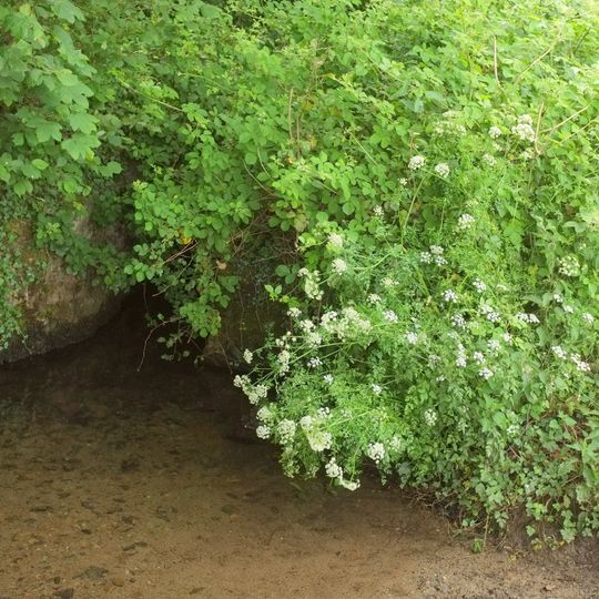 Bridge And Section Of Haytor Granite Tramway Crossing Bovey Pottery Leat About 250 Metres South-East Of Chapple Farm