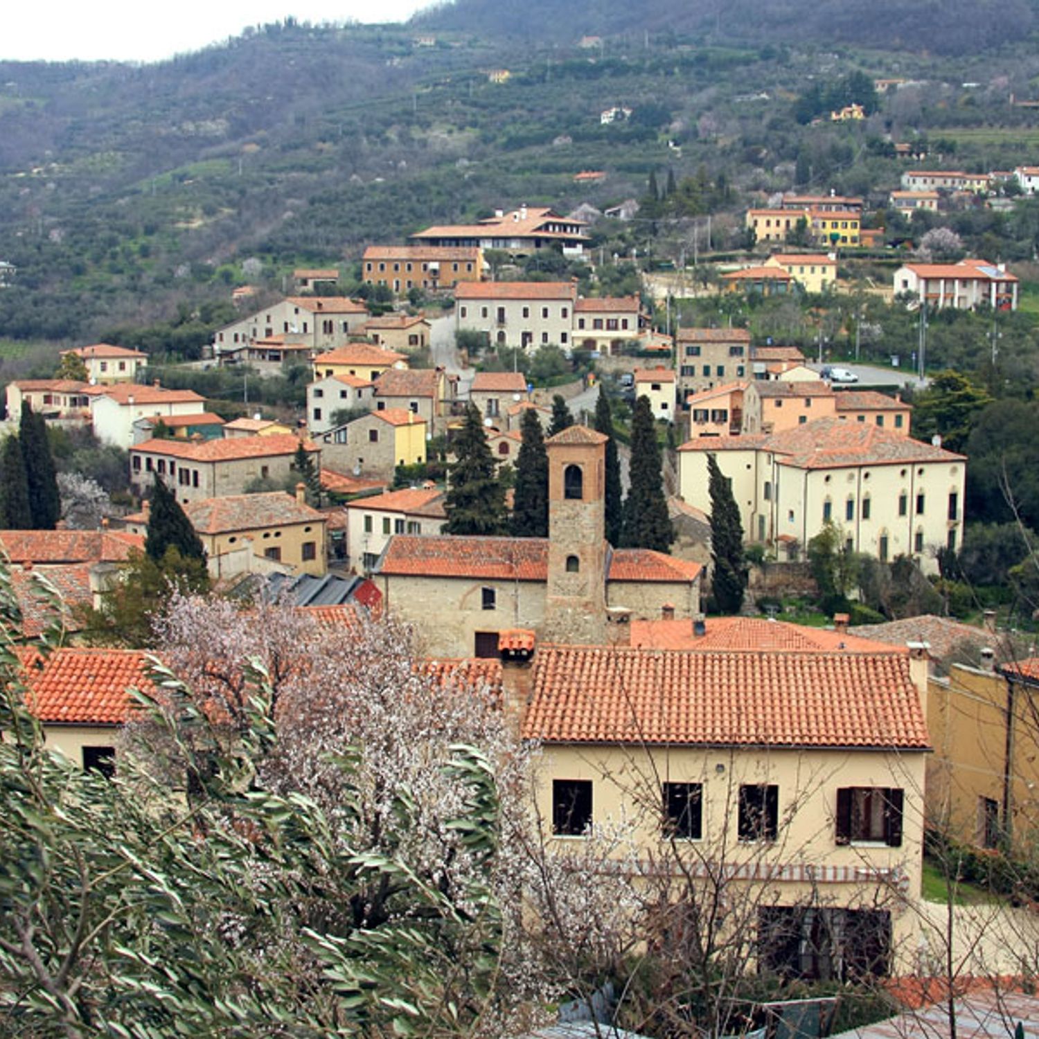 Arquà Petrarca - Commune médiévale dans les collines Euganéennes, Italie