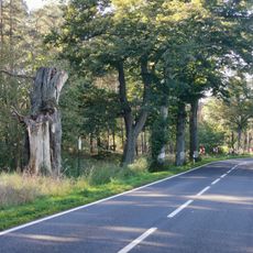 Naturdenkmal Eiche an der Landesstraße L17