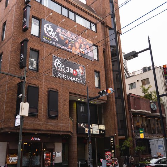 Rikimaru Shinsaibashi