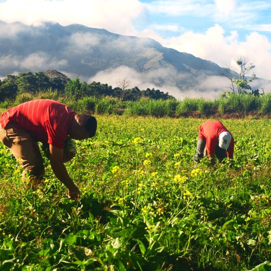 Cumbre Pica de los Silva