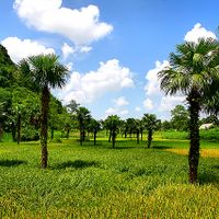 Prowincja Tuyên Quang