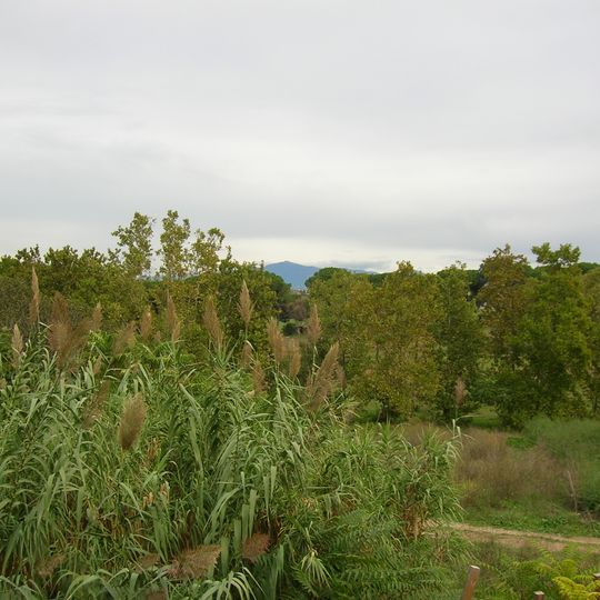 Parco regionale urbano di Aguzzano