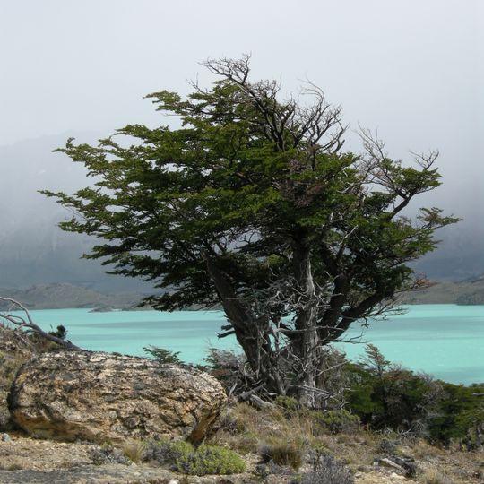 Perito Moreno National Park