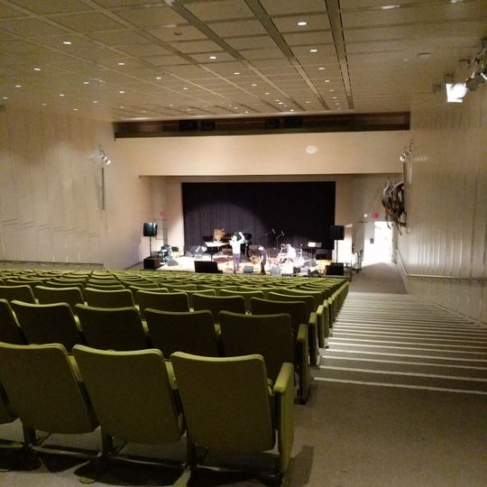 Remis Auditorium at the Museum of Fine Arts
