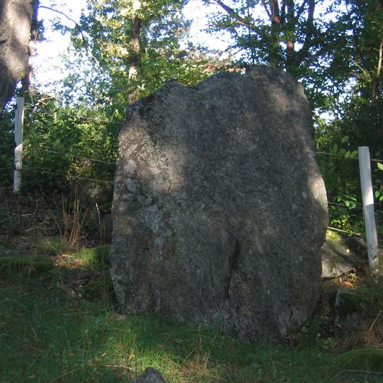 Uppland Runic Inscription 30