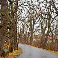 Hráz rybníka s výpustí a alej dubů