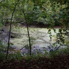 Waldtümpel im Gewann Saisleshau