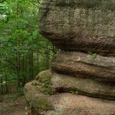 Rezerwat przyrody Piekiełko Szkuckie