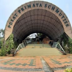 Pusat Primata Schmutzer