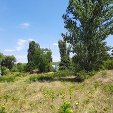 Ialoveni III settlement