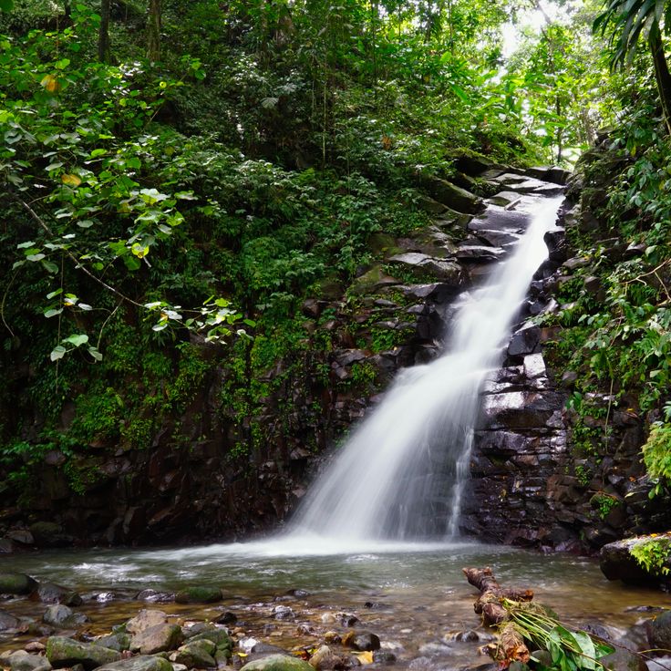 Enbas Saut Waterfall