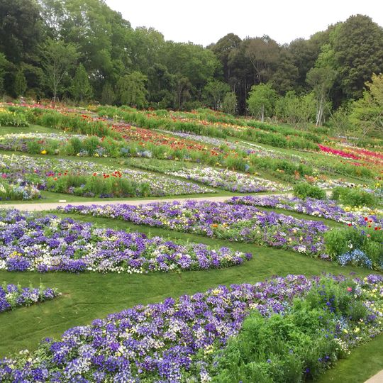 Yokohama Dōbutsu no Mori Park