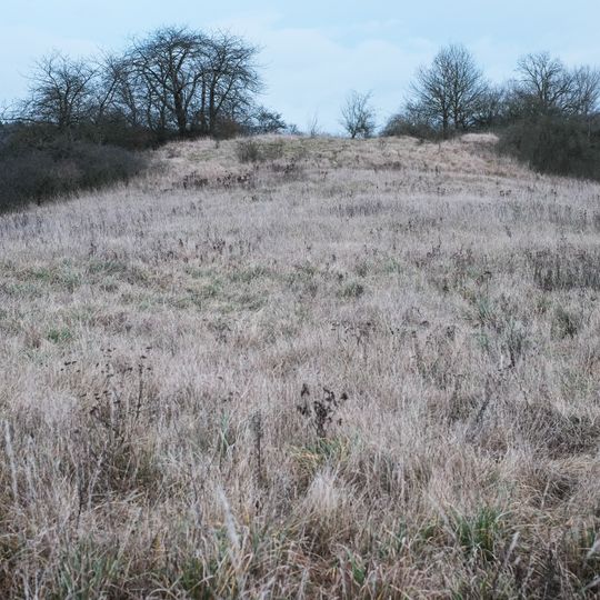 Turmhügel Altenburg