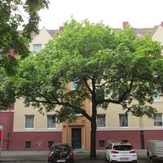 Berckhusenstraße 61, Hannover