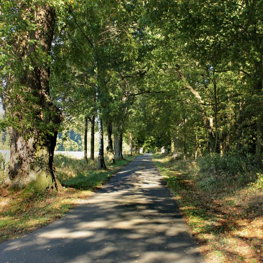 Lípy v Drahoňovské aleji