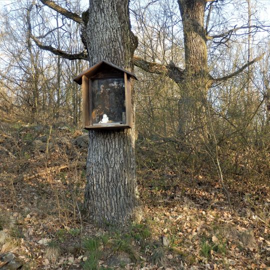 Bildbaum zwischen Schanze und Holzwiese