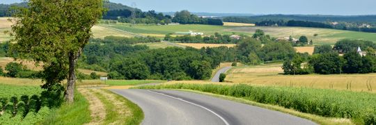 Raphael pont Profile Cover