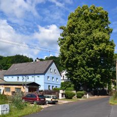 Lípy v Janově, ul. Křižatecká