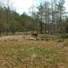 Radostínské rašeliniště