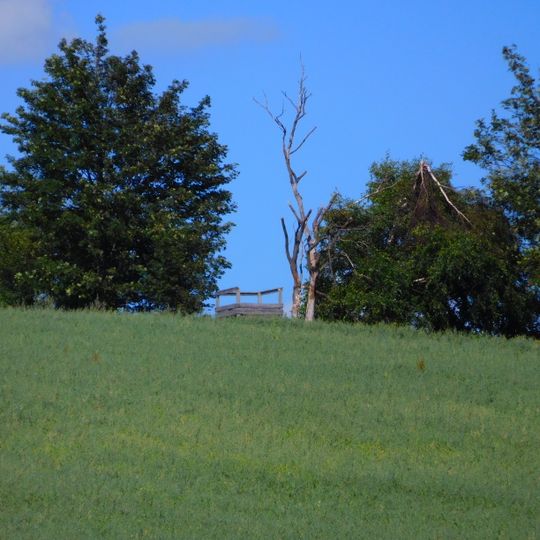 Sovinec observation tower