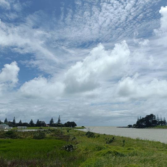 Waitara Scenic Reserve