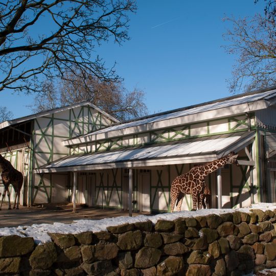 Artis: dierenverblijf in chaletstijl, de zogenaamde  'giraffenstal'