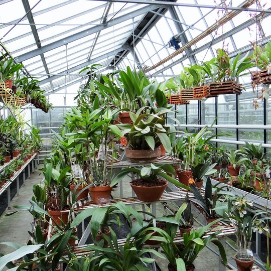 Serres du jardin du Luxembourg