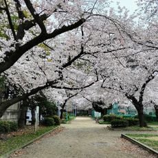 浦江公園