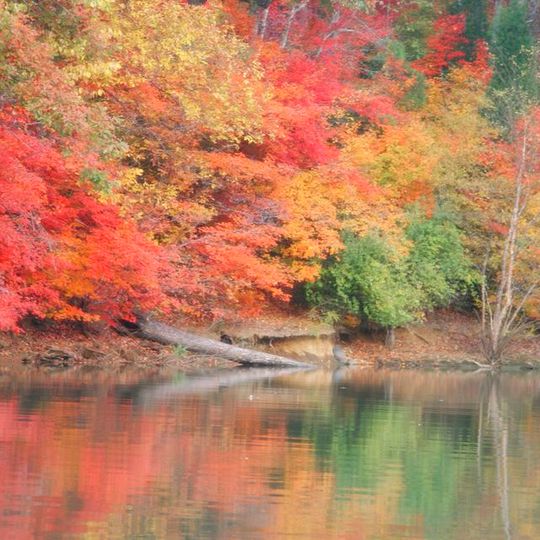 Lake Wylie