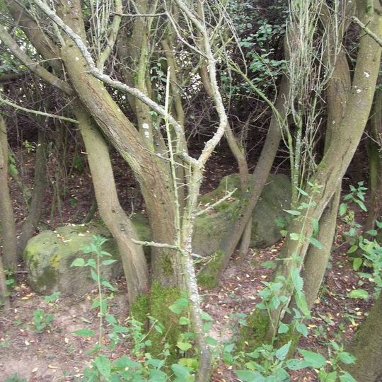 Kříž v křoví jižně od Drahotína