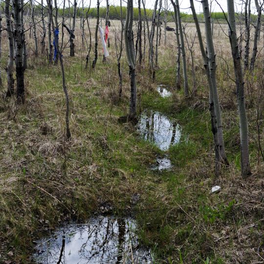 Flee Island Dakota Entrenchment