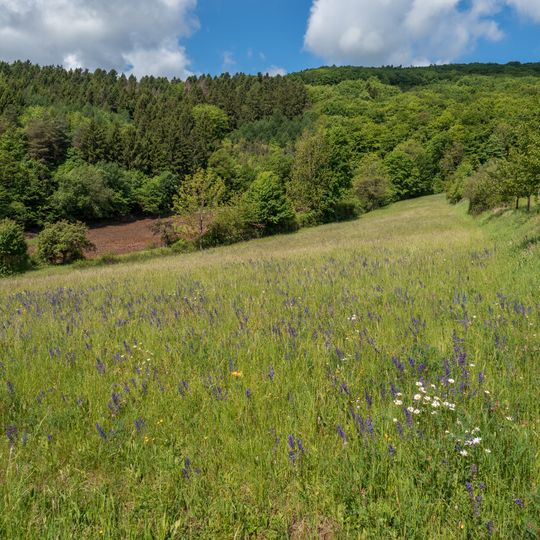 Naturwaldreservat Lohntal