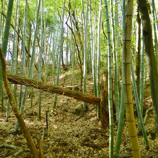 Isonokami Ōtsuka Kofun